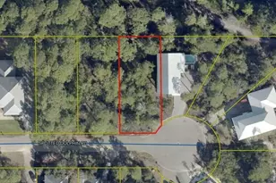 Lot 25 Spotted Dolphin Rd, Santa Rosa Beach, FL 32459 - Photo 1