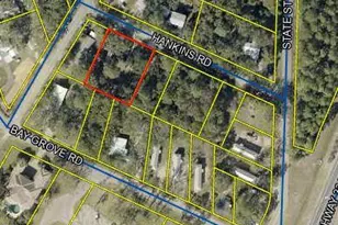 75 Hankins Rd, Freeport, FL 32439 - Photo 1