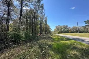 Parcel A Holloway Rd, Baker, FL 32531 - Photo 1