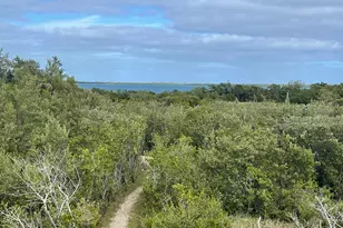 3127 Stewart Rd, Middle Torch Key, FL 33042 - Photo 59