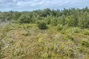 3127 Stewart Rd, Middle Torch Key, FL 33042 - Photo 61