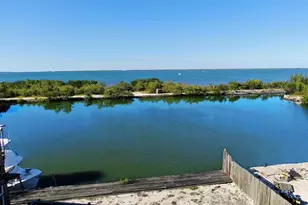 32029 Marginella Dr, Big Pine Key, FL 33043 - Photo 3