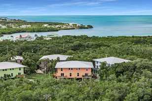 111 Stirrup Key Woods Rd, Marathon, FL 33050 - Photo 21