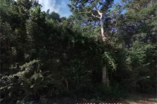 Poinsetta Dr, Key Largo, FL 33037 - Photo 1