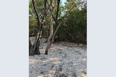 Main Key, Barnes Sound, Key Largo, FL 33037 - Photo 45