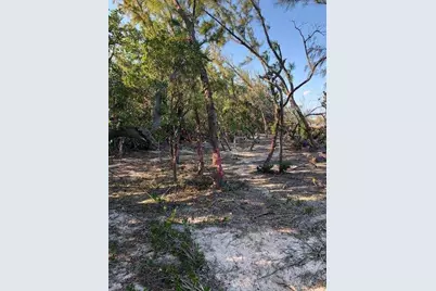 Main Key, Barnes Sound, Key Largo, FL 33037 - Photo 47