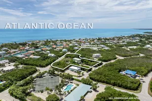 1 Trinidad St, Duck Key, FL 33050 - Photo 37