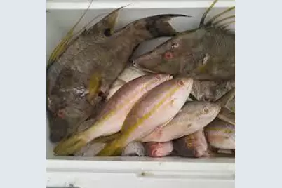1 Mundy The Pirate Seafood Way #No Real Estate, Key West, FL 33040 - Photo 7