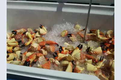 1 Mundy The Pirate Seafood Way #No Real Estate, Key West, FL 33040 - Photo 23