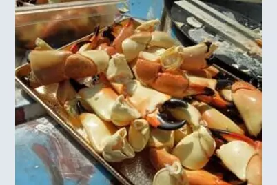 1 Mundy The Pirate Seafood Way #No Real Estate, Key West, FL 33040 - Photo 3