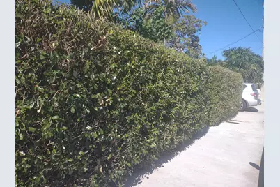 2311 Patterson Avenue, Key West, FL 33040 - Photo 31