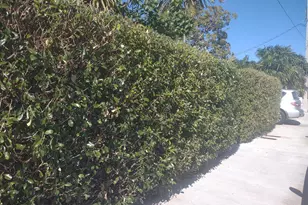 2311 Patterson Ave, Key West, FL 33040 - Photo 31
