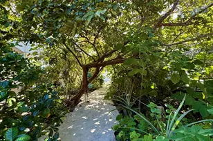 125 Colson Dr, Cudjoe Key, FL 33042 - Photo 49
