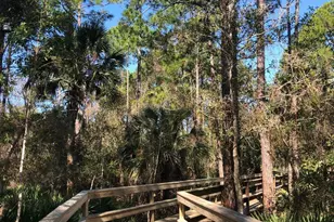 333 Stokes Creek Dr, Other, FL 00000 - Photo 49