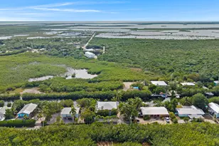 19881 Date Palm Dr, Sugarloaf Key, FL 33042 - Photo 63