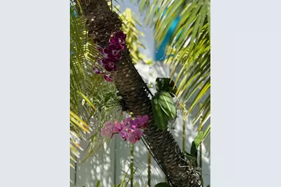 1503 Johnson Street, Key West, FL 33040 - Photo 45