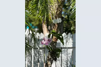 1503 Johnson Street, Key West, FL 33040 - Photo 47