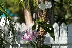 1503 Johnson St, Key West, FL 33040 - Photo 47