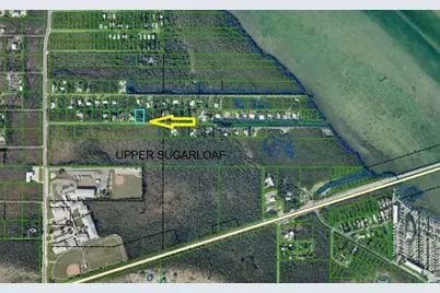 19617 Date Palm Drive, Sugarloaf Key, FL 33042 - Photo 1