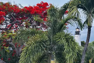 927 Thomas St, Key West, FL 33040 - Photo 19