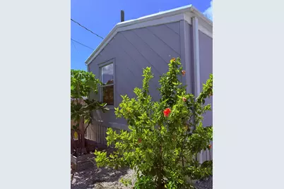 27960 Porgie, Little Torch Key, FL 33042 - Photo 3