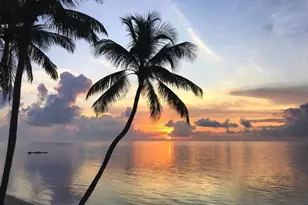 75131 Overseas Hwy, Lower Matecumbe, FL 33036 - Photo 27