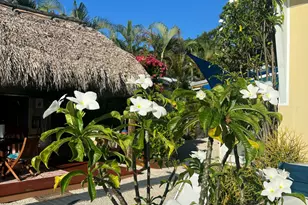8 Grassy Rd, Key Largo, FL 33037 - Photo 13