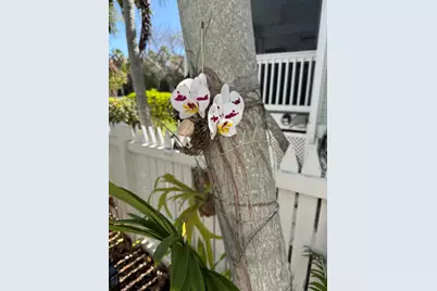 81 Golf Club Drive, Key West, FL 33040 - Photo 17