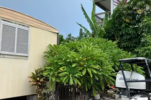 330 Spica Ln, Geiger Key, FL 33040 - Photo 5