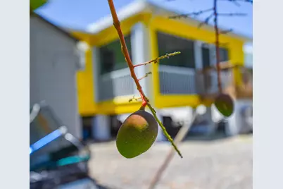 29123 Rose Drive, Big Pine Key, FL 33043 - Photo 21