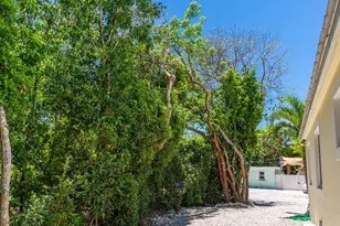 143 N Hammock Rd, Upper Matecumbe Key Islamorada, FL 33036 - Photo 9