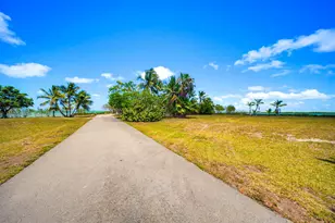 87 Cannon Royal Dr, Shark Key, FL 33040 - Photo 87