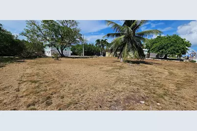 30860 Malaga Lane, Big Pine Key, FL 33043 - Photo 3