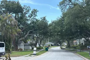 904 Highview Dr, Palm Harbor, FL 34683 - Photo 5