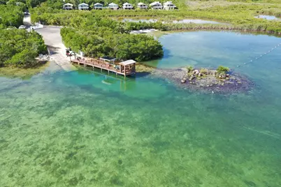 335 Bay View Avenue, Key Largo, FL 33037 - Photo 31