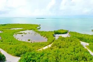 335 Bayview Ave, Key Largo, FL 33037 - Photo 31