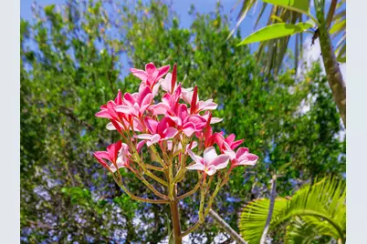 30416 Coconut Highway, Big Pine Key, FL 33043 - Photo 35