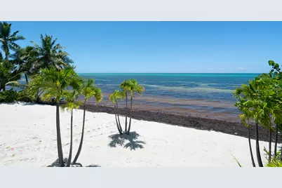74051 Overseas Highway, Lower Matecumbe, FL 33036 - Photo 13