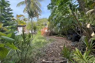 1119 Florida St, Key West, FL 33040 - Photo 5