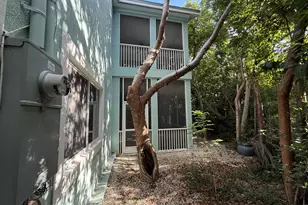 809 Miramar Dr, Key Largo, FL 33037 - Photo 5