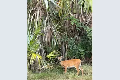 1821 Bittersweet Avenue, Big Pine Key, FL 33043 - Photo 23