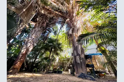 511 Tabby Lane, Key West, FL 33040 - Photo 3