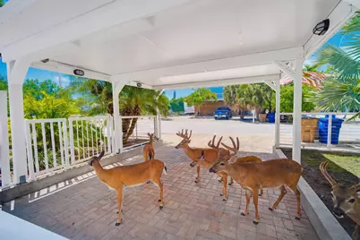 29165 Clover Lane, Big Pine Key, FL 33043 - Photo 45