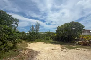 121 San Marco Dr, Plantation Key, FL 33036 - Photo 1