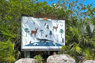 1539 Lantana Ln, Big Pine Key, FL 33043 - Photo 29