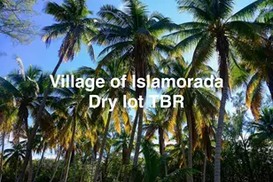 St, Upper Matecumbe Key Islamorada, FL 33036 - Photo 3