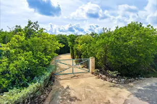 4100 Filer Cove Rd, Big Torch Key, FL 33042 - Photo 69