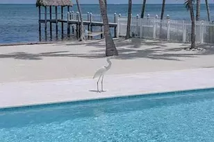 83265 Old Hwy, Upper Matecumbe Key Islamorada, FL 33036 - Photo 27