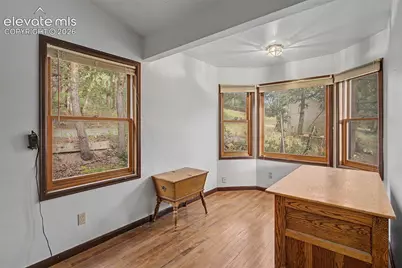 9735 Mountain Road, Cascade, CO 80809 - Photo 11