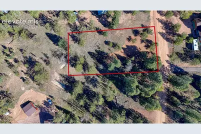 65 Utah Way, Florissant, CO 80816 - Photo 13